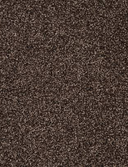 Carpet Feelings