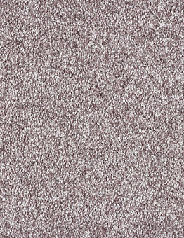 Carpet Blush Inspirations