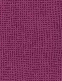 Taralay Initial Compact