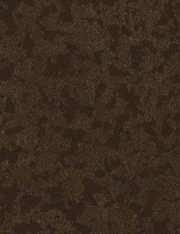 Taralay Premium Compact