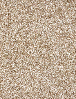 Carpet Blush Inspirations