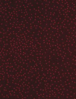 Carpet Constellation