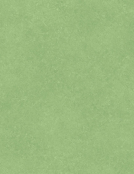 Acczent Pro Linoleum