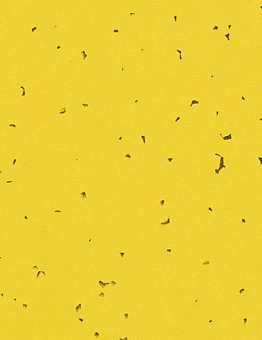 Sphera Energetic Linoleum