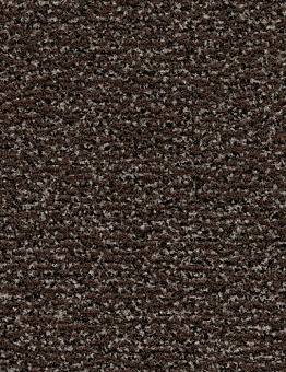 Coral Classic Carpet