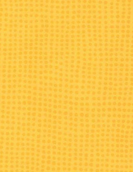 Taralay Initial Comfort