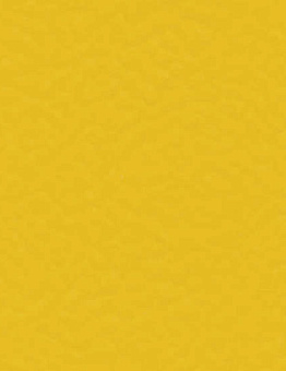 Taraflex Surface Uni