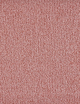 Carpet Sense Highlights