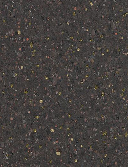 Sphera Evolution Linoleum