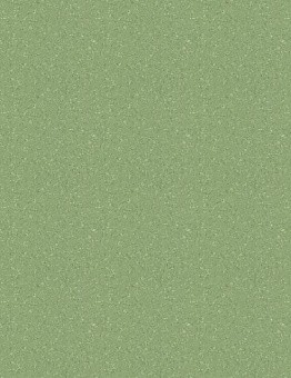 Tempo Plus turnkey linoleum