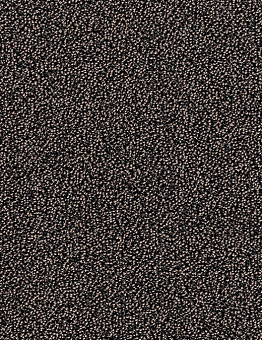 Carpet E-firm carpet