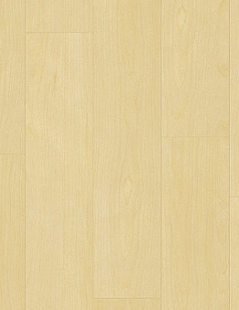 Scala 30 Connect PUR Wood