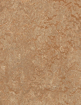 Collection Marmoleum Real 2,50