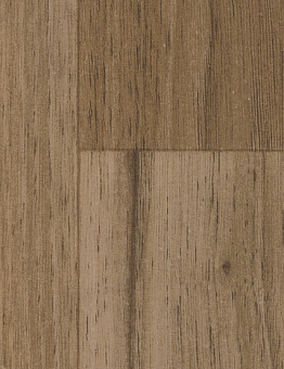 Taralay Impression Compact