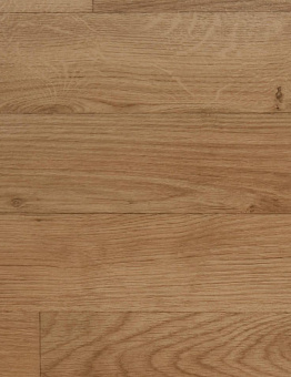 Linoleum Omnisports Action 65