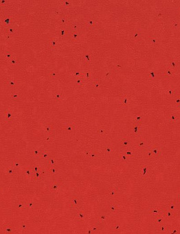 Sphera Energetic Linoleum