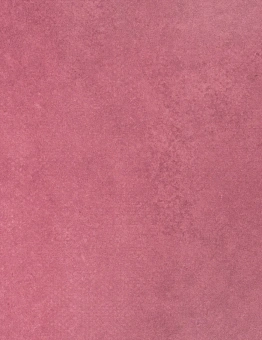 Линолеум Emerald Standart 2024