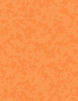 Taralay Premium Comfort