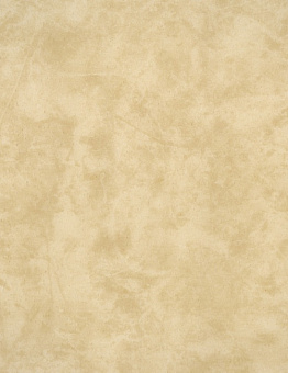 Diamond Tech Silver Knight