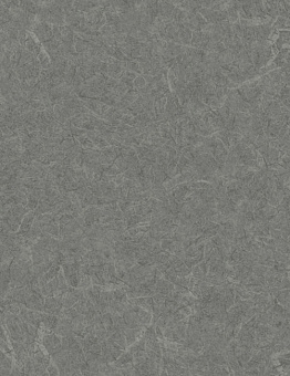 Acoustic 7 Silver Knight