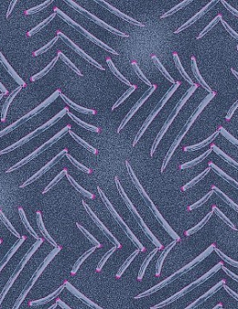 Carpet Inspirations Design in technocolor