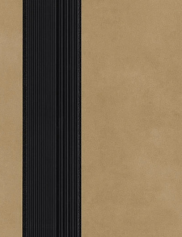 Sarlon Complete Step