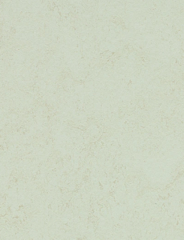 Marmoleum Concrete Linoleum 2.50