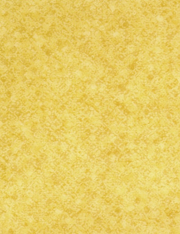 DIAMOND STANDART EVOLUTION