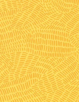 Мodul'up Compact Graphic