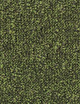 AirMaster Tierra Gold