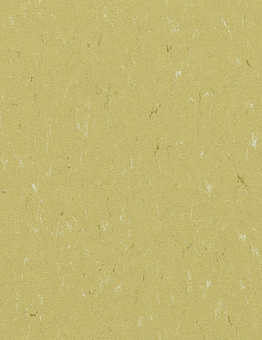 Linoleum Marmoleum Piano 2.50