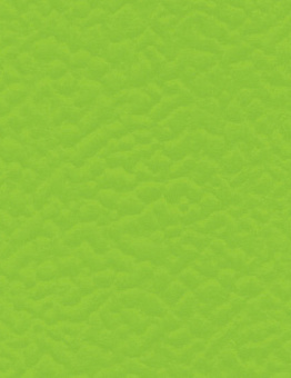 Taraflex Performance UNI