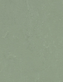 Marmoleum Concrete Linoleum 2.50