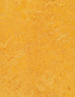 Collection Marmoleum Authentic 2,50