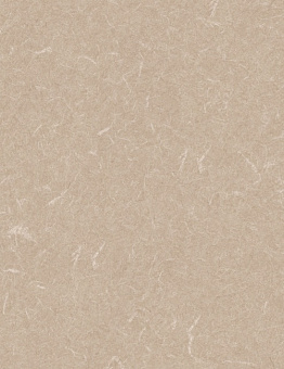 Acoustic 7 Silver Knight