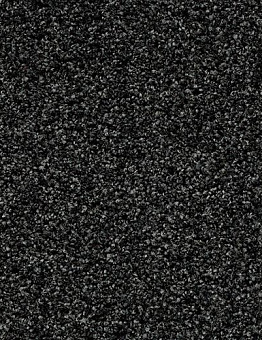 Collection Coral Bright