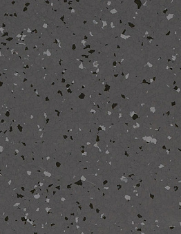 Linoleum Linoleum Sphera Star T