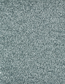 Carpet Blush Inspirations