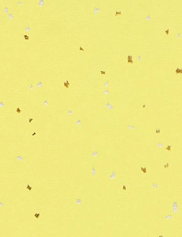 Sphera Evolution Linoleum