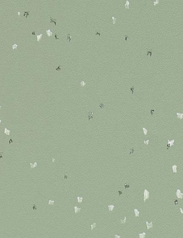 Sphera Evolution Linoleum