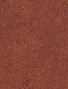 Collection Marmoleum Authentic 2,50