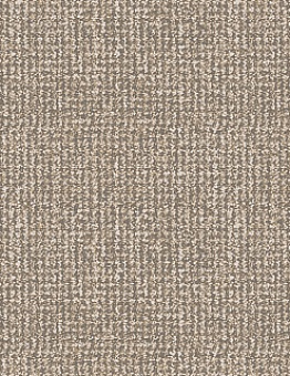 Carpet Carpet Marathon