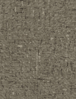 Taralay Initial Compact