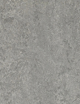 Collection Marmoleum Real 2,50