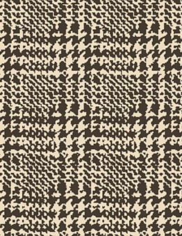 Carpet Inspirations Twist