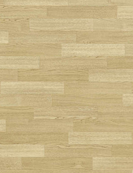 Taralay Initial Compact