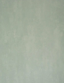 Линолеум Emerald Standart 2024