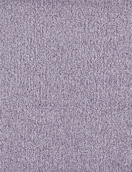 Carpet Sense Highlights