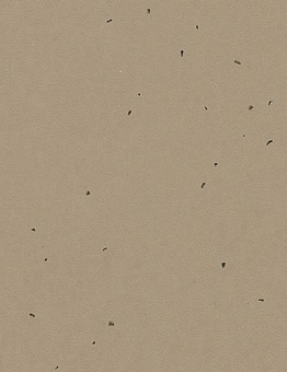 Sphera Energetic Linoleum