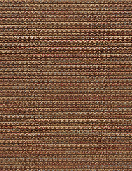 Carpet Nature Rainbow